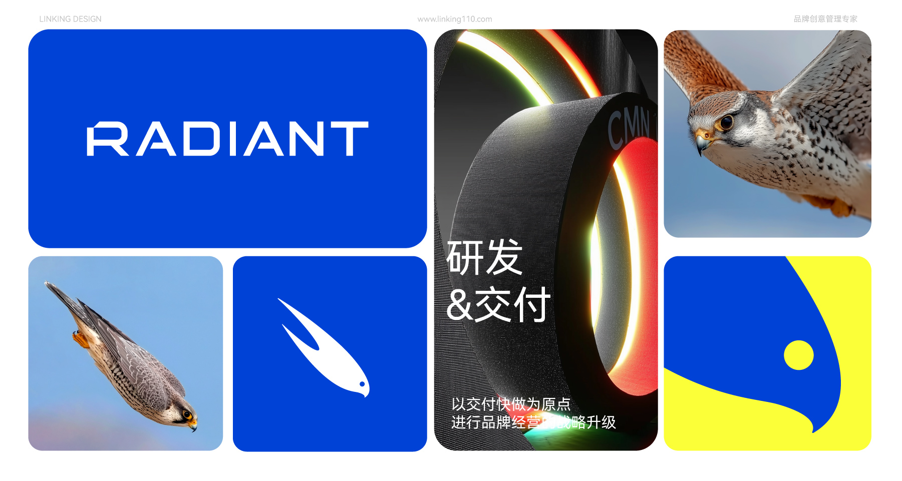 锐登特网站案例-13