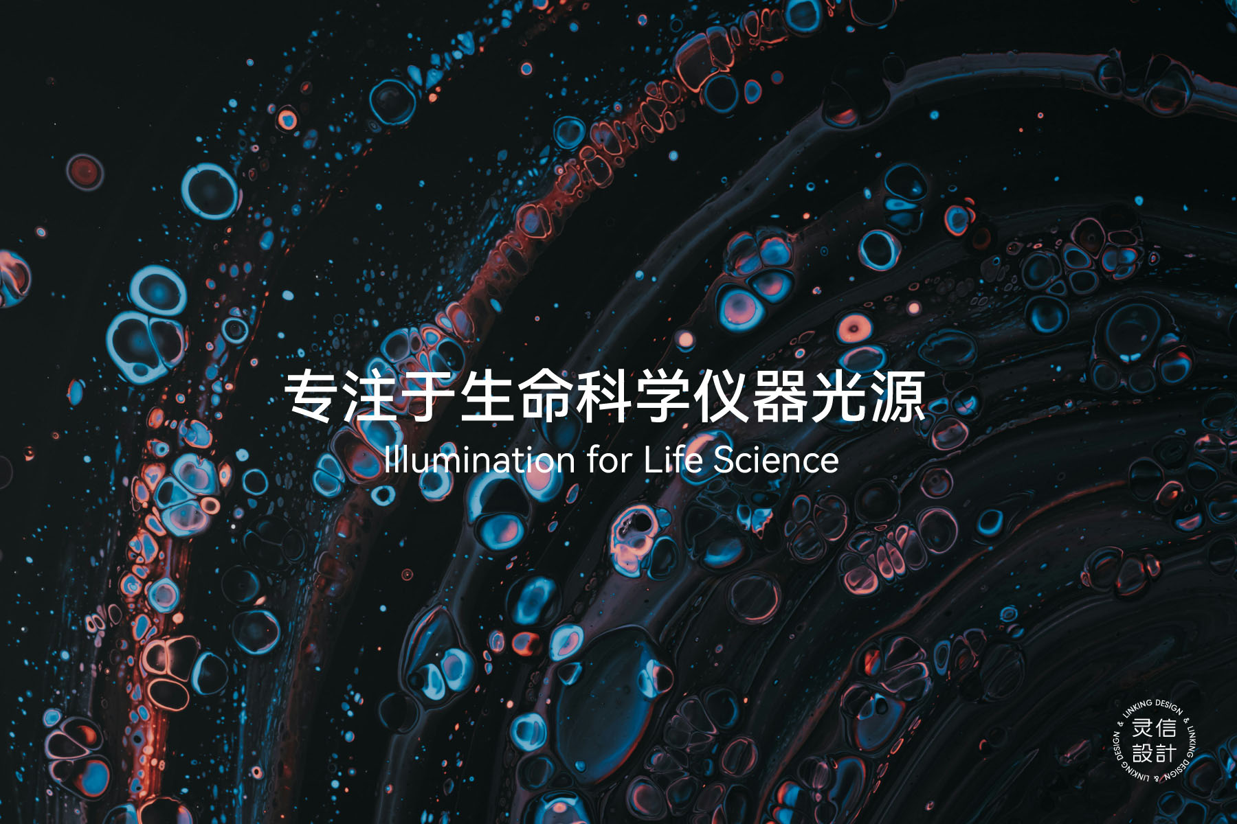 三志光控-06
