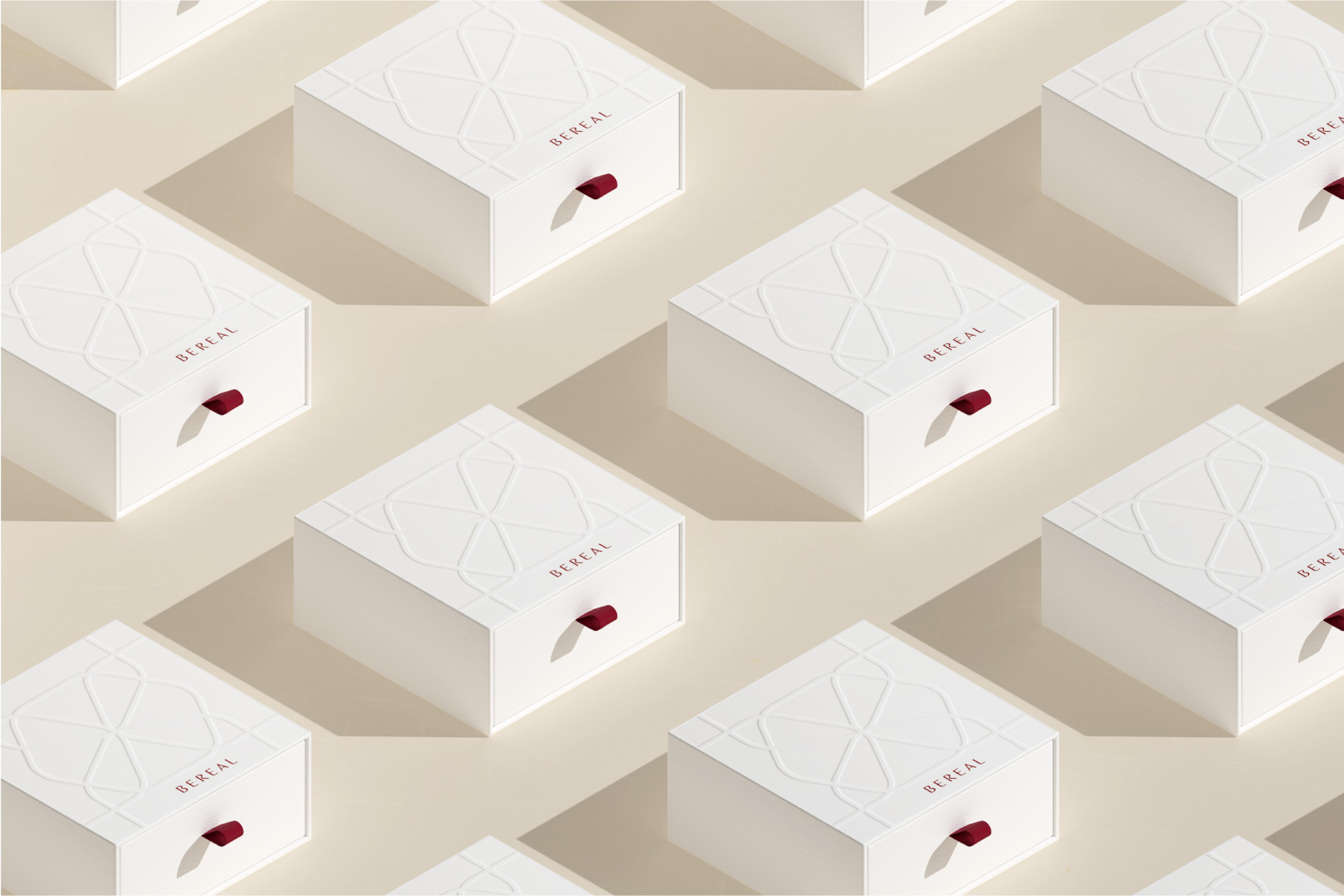 BEREAL 网站案例模版-14