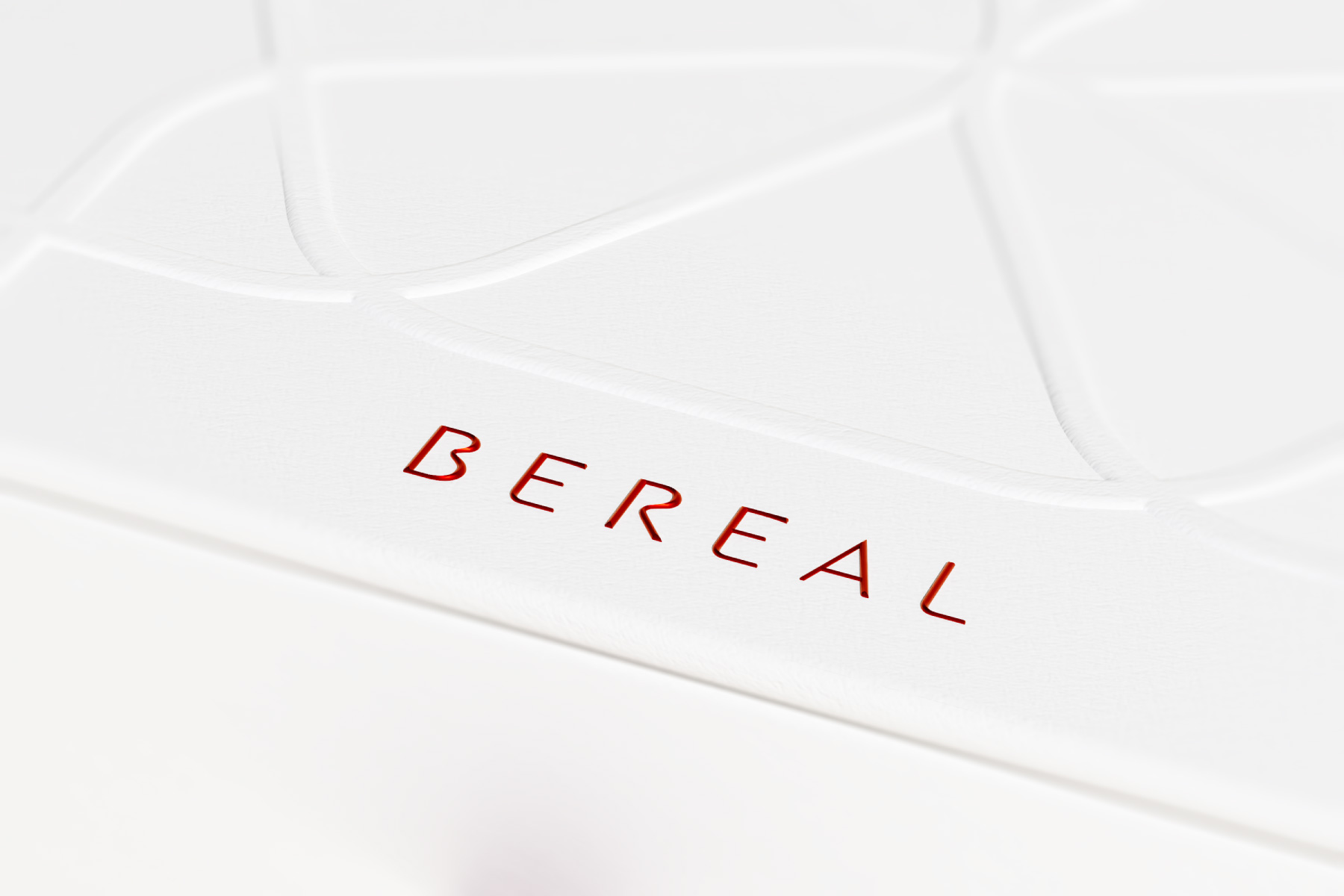 BEREAL 网站案例模版-19