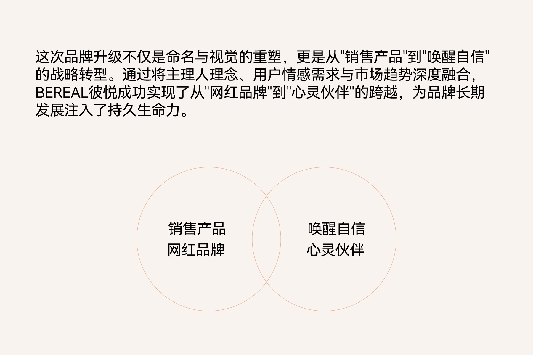 BEREAL 网站案例模版-23