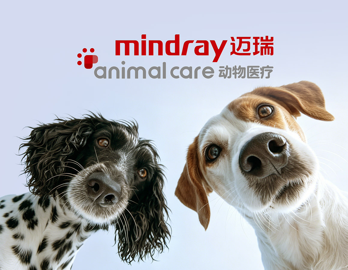 迈瑞 X 灵信设计